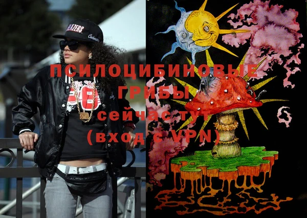 шишки Лихославль